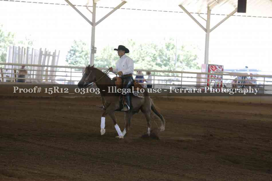 Proof 15R12_03103