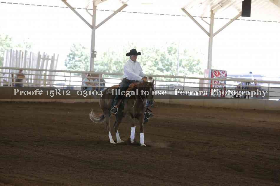Proof 15R12_03104