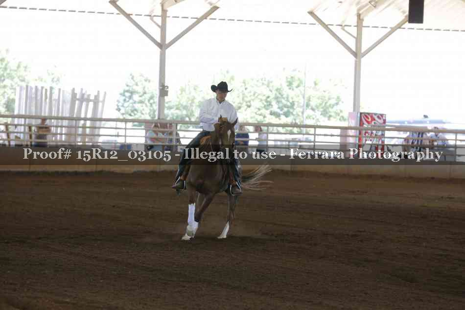 Proof 15R12_03105