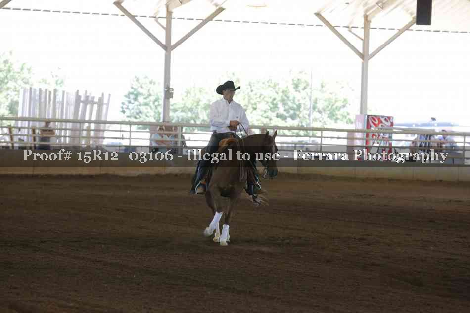 Proof 15R12_03106