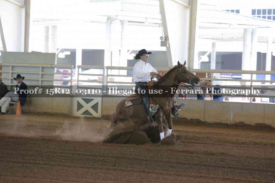 Proof 15R12_03110
