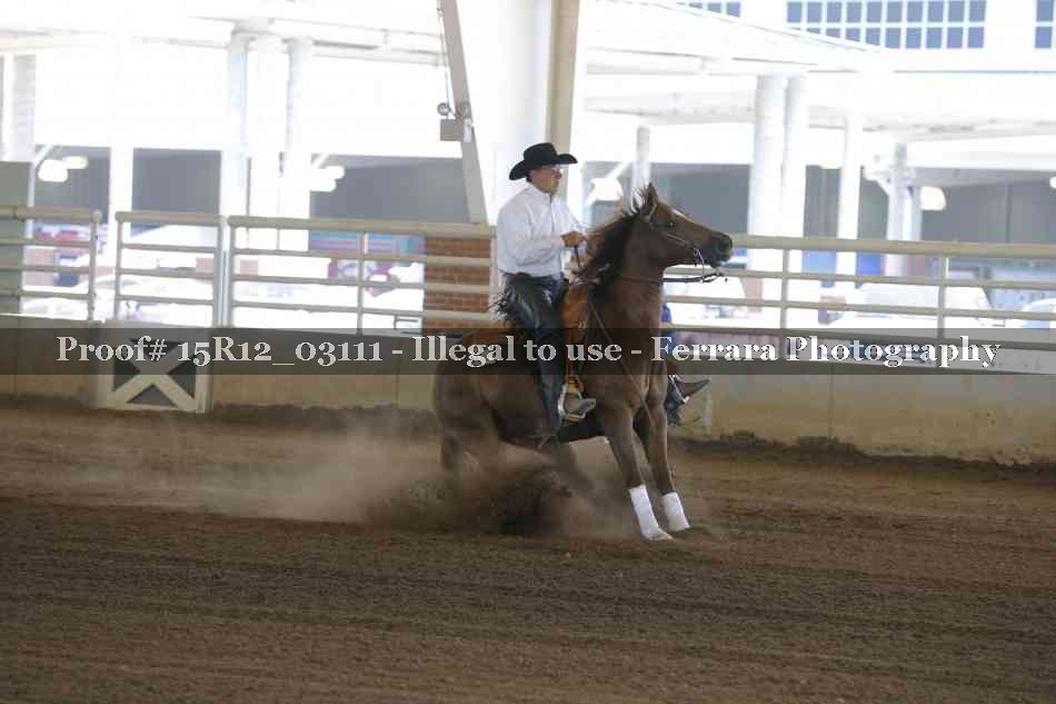 Proof 15R12_03111
