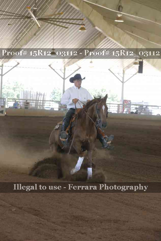 Proof 15R12_03112