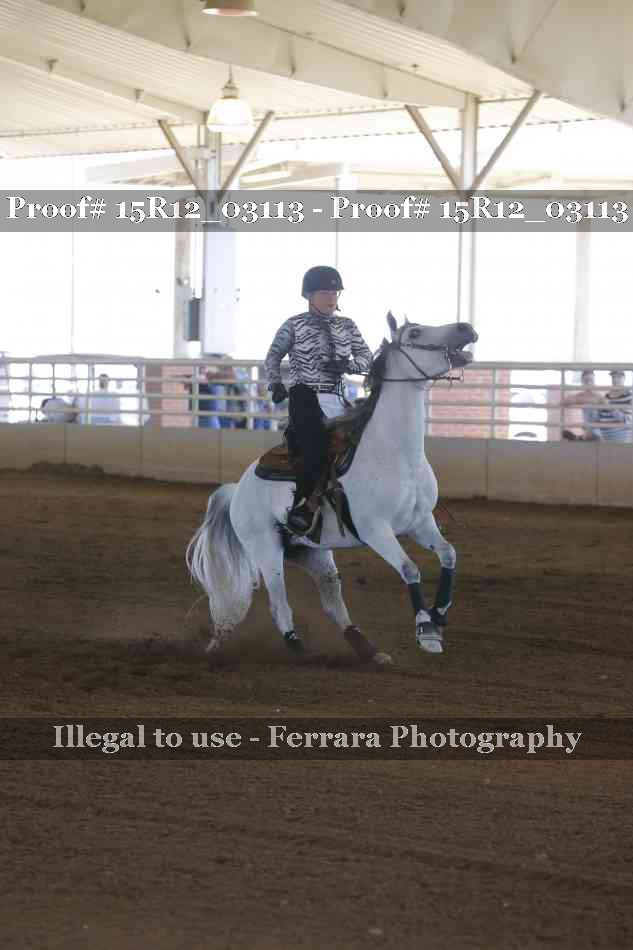 Proof 15R12_03113