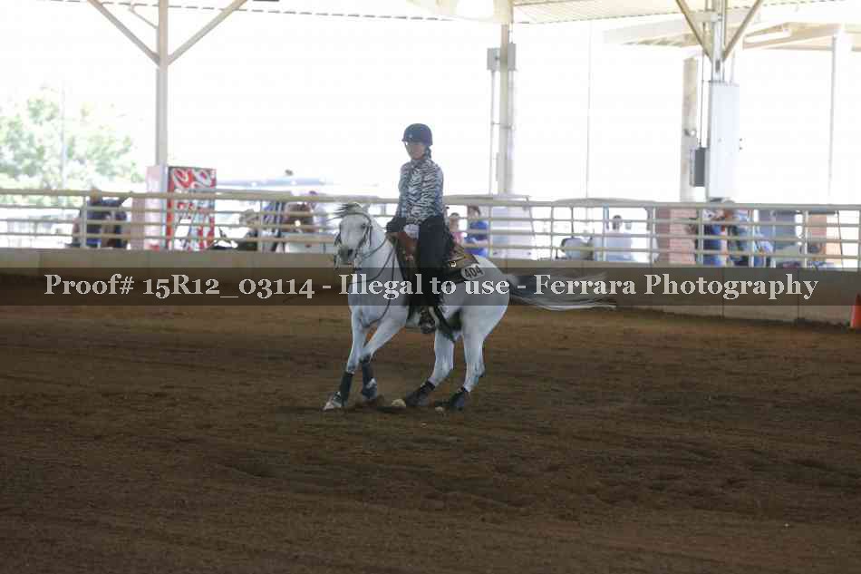 Proof 15R12_03114