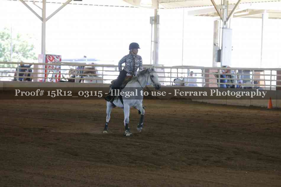 Proof 15R12_03115
