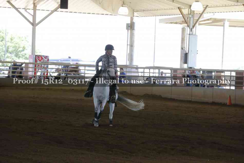 Proof 15R12_03117