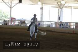 15R12_03117 proof