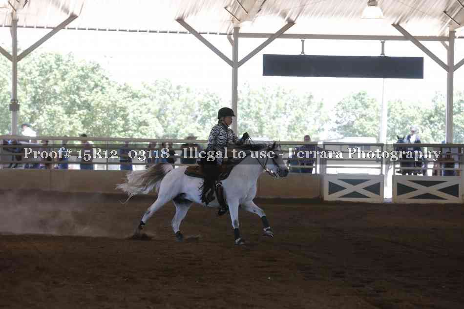 Proof 15R12_03118