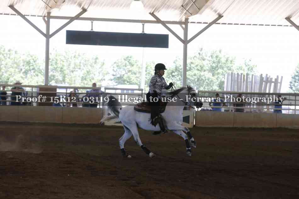 Proof 15R12_03119