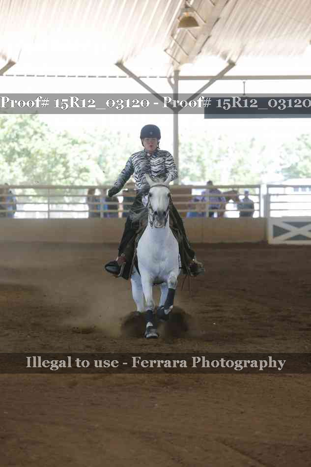Proof 15R12_03120