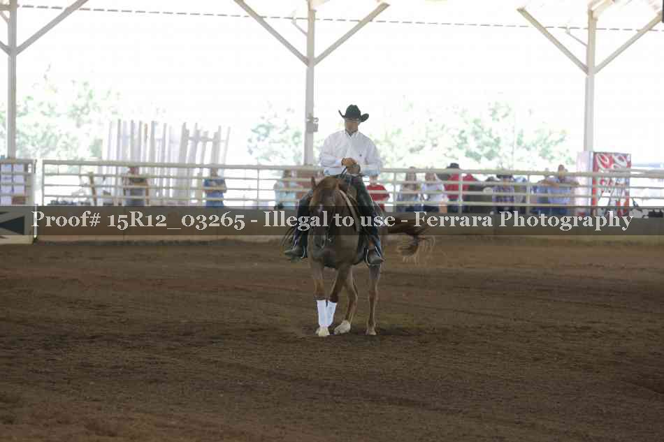 Proof 15R12_03265