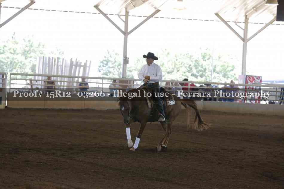 Proof 15R12_03266