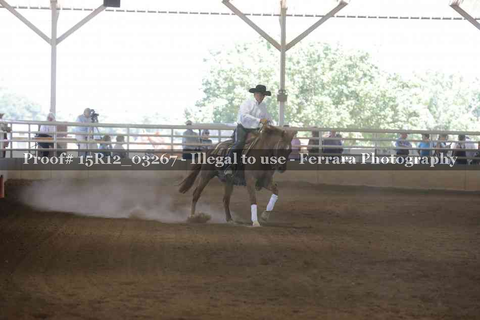 Proof 15R12_03267