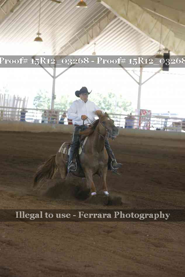 Proof 15R12_03268
