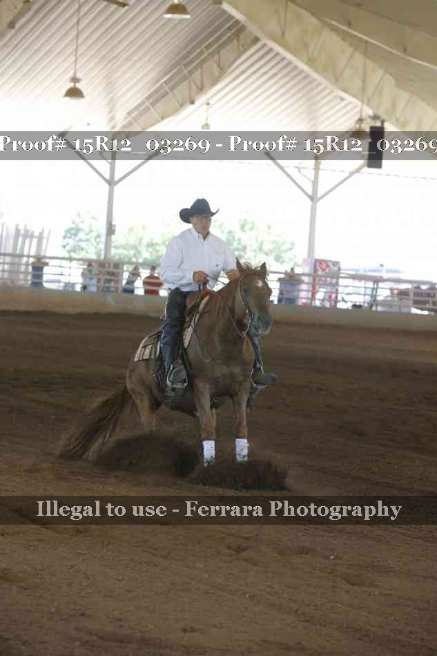 Proof 15R12_03269