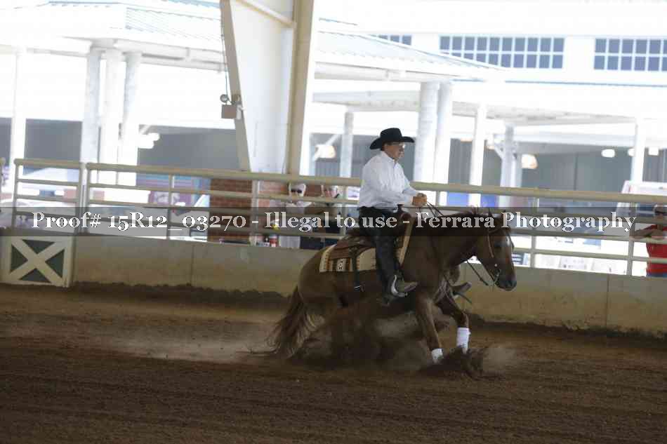 Proof 15R12_03270