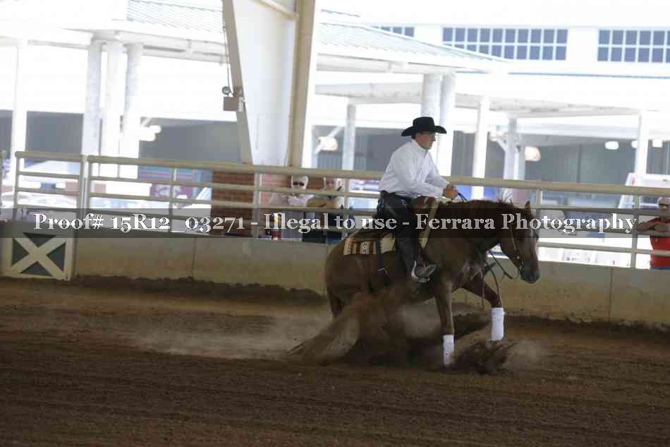 Proof 15R12_03271