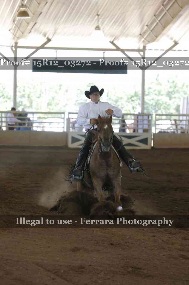 Proof 15R12_03272