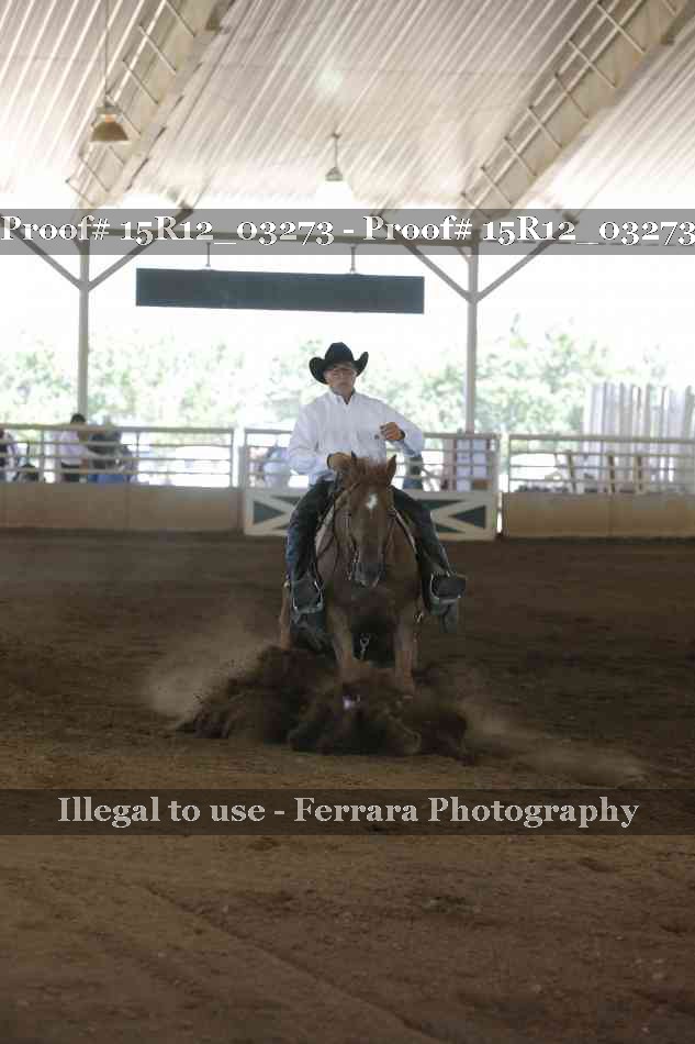 Proof 15R12_03273