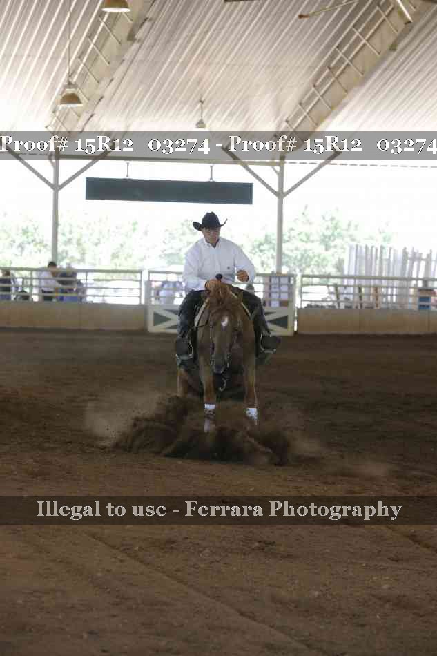 Proof 15R12_03274