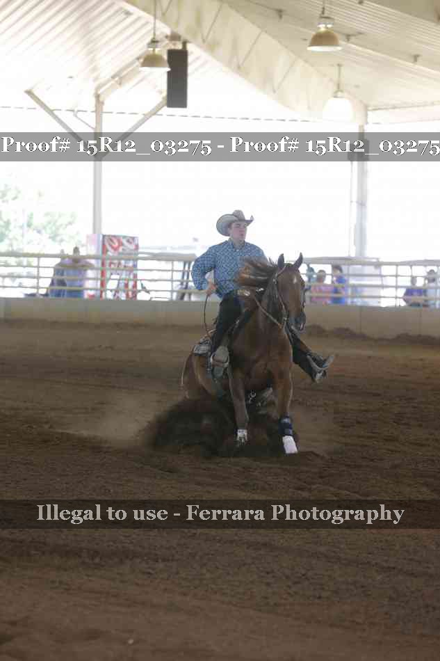 Proof 15R12_03275