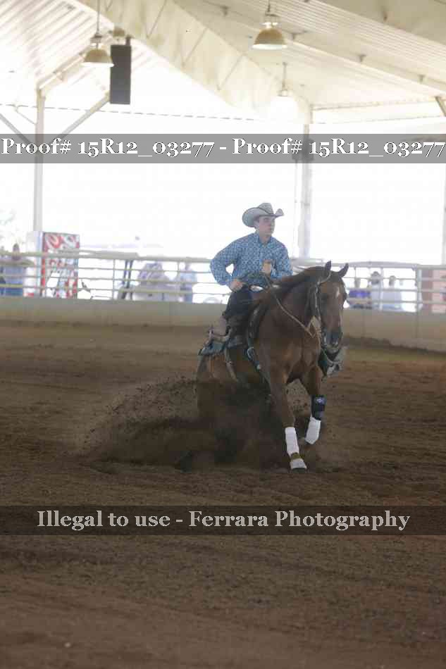 Proof 15R12_03277