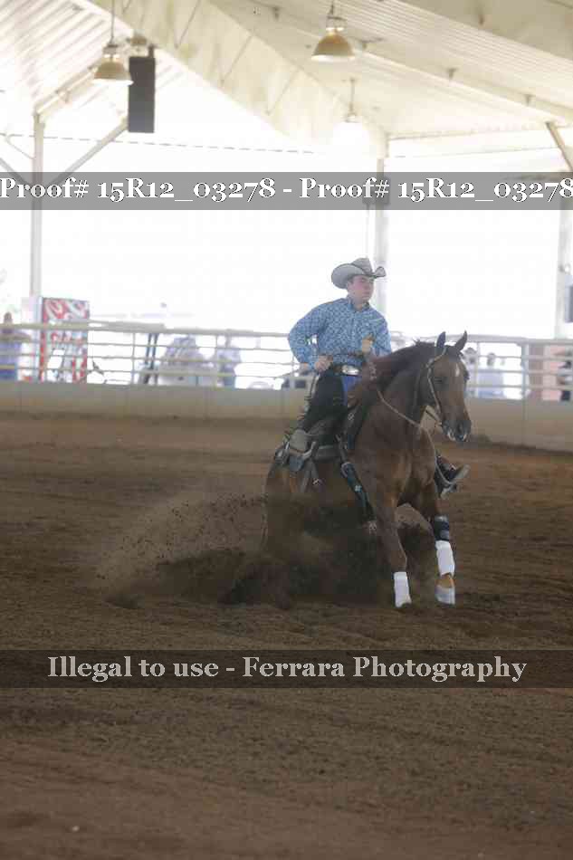 Proof 15R12_03278