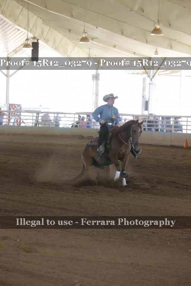 Proof 15R12_03279