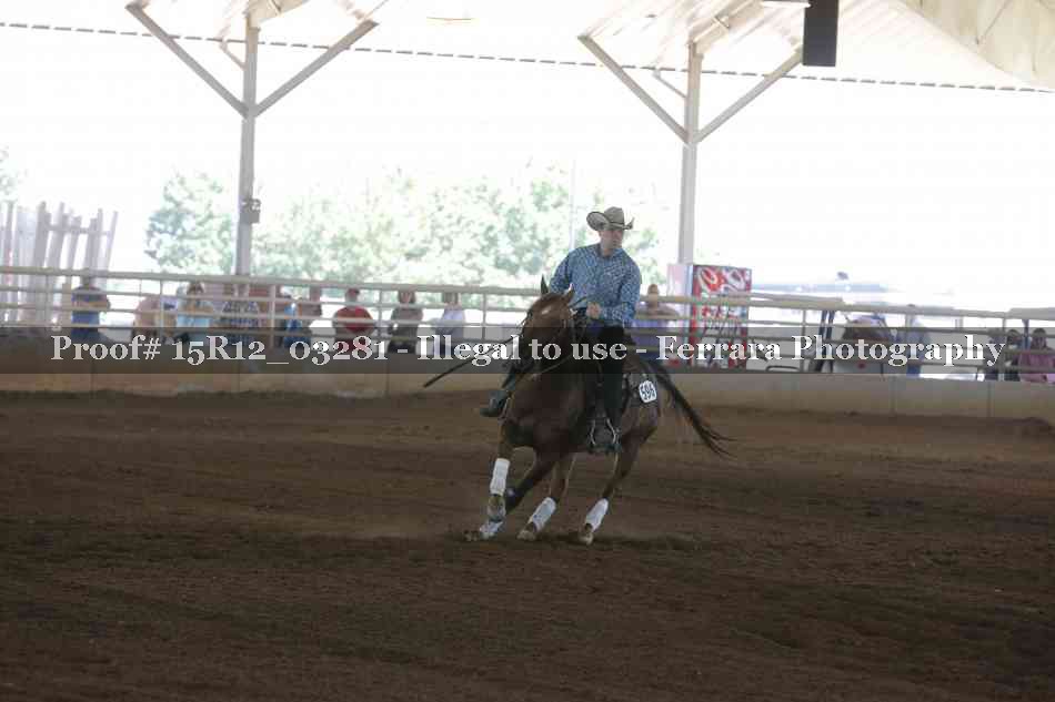 Proof 15R12_03281