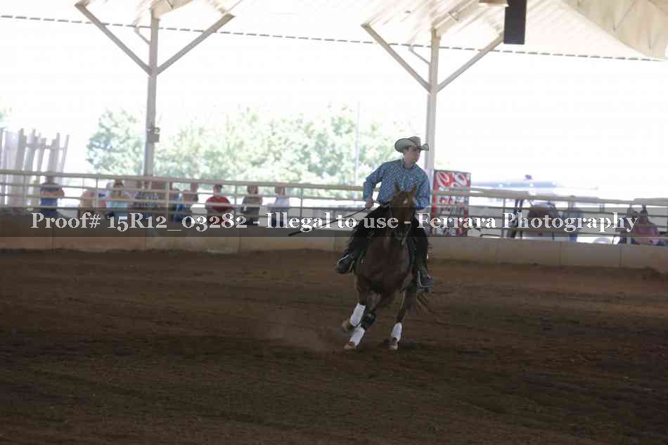 Proof 15R12_03282