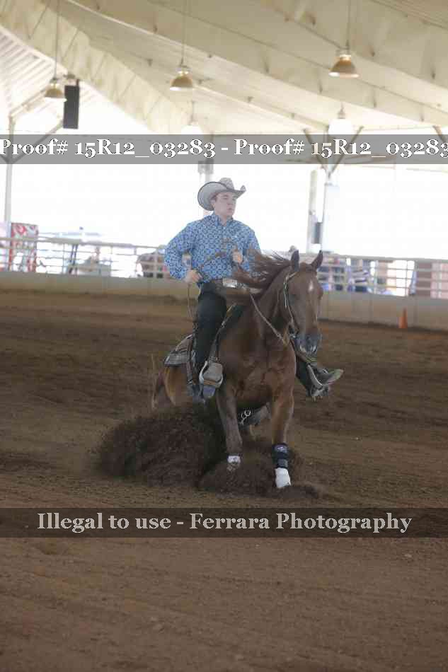 Proof 15R12_03283