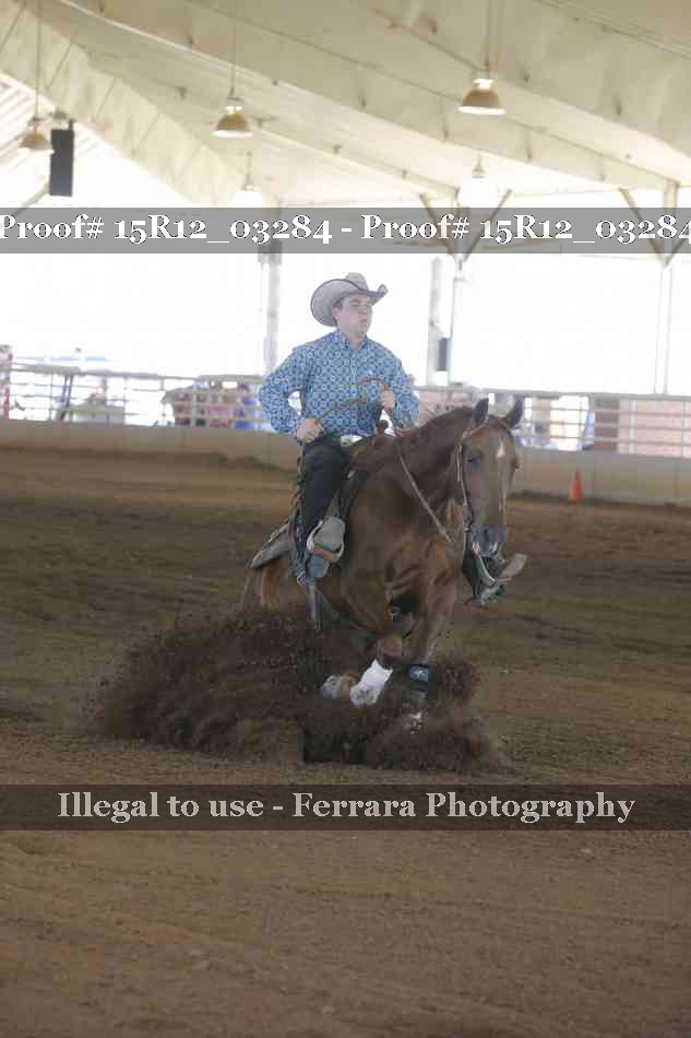 Proof 15R12_03284