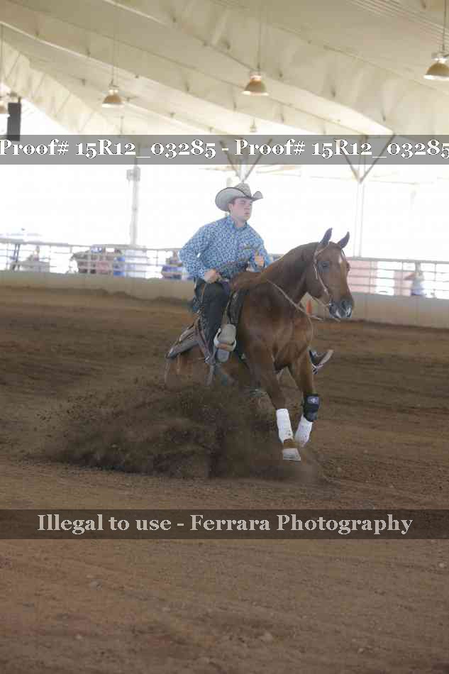 Proof 15R12_03285