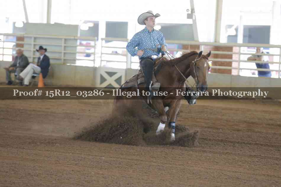 Proof 15R12_03286