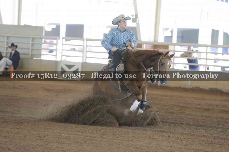 Proof 15R12_03287