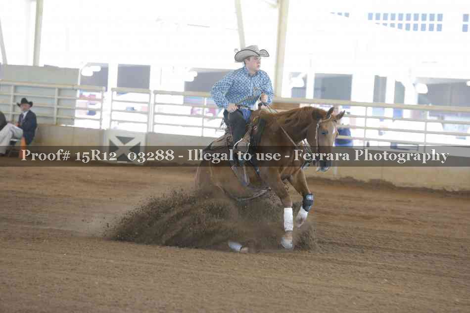Proof 15R12_03288