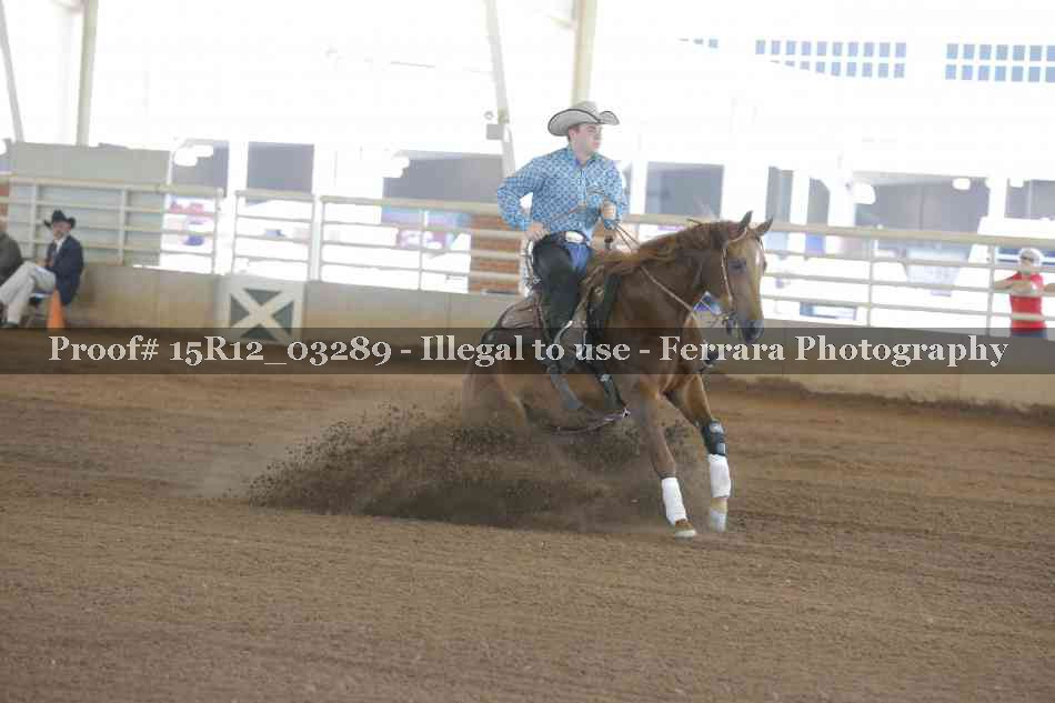 Proof 15R12_03289