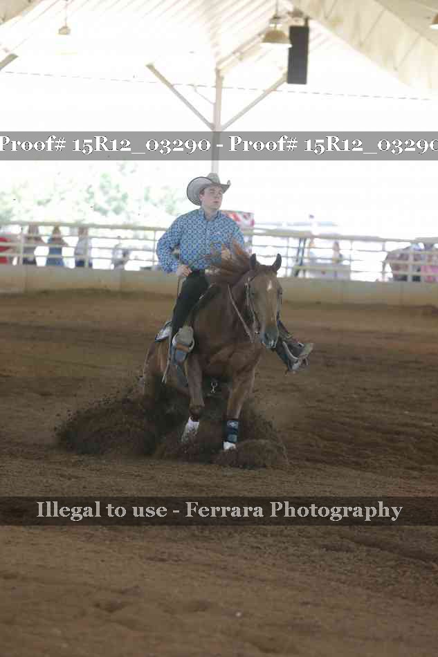 Proof 15R12_03290