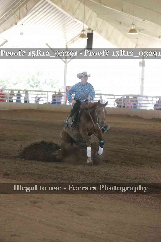 Proof 15R12_03291
