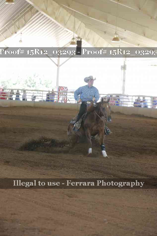 Proof 15R12_03293