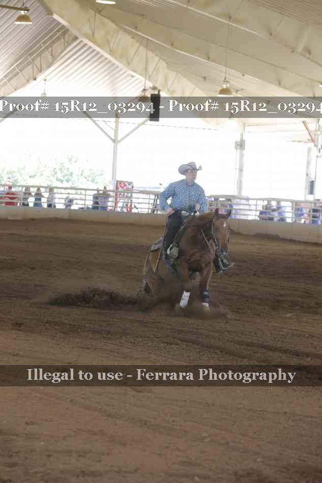 Proof 15R12_03294