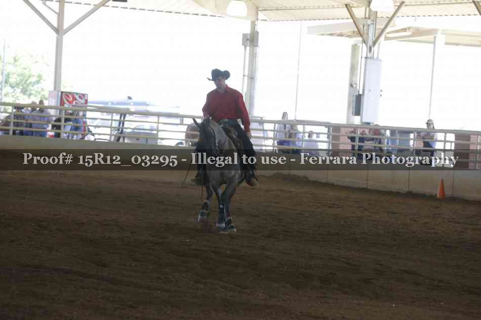 Proof 15R12_03295