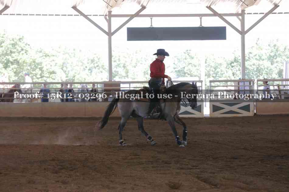 Proof 15R12_03296