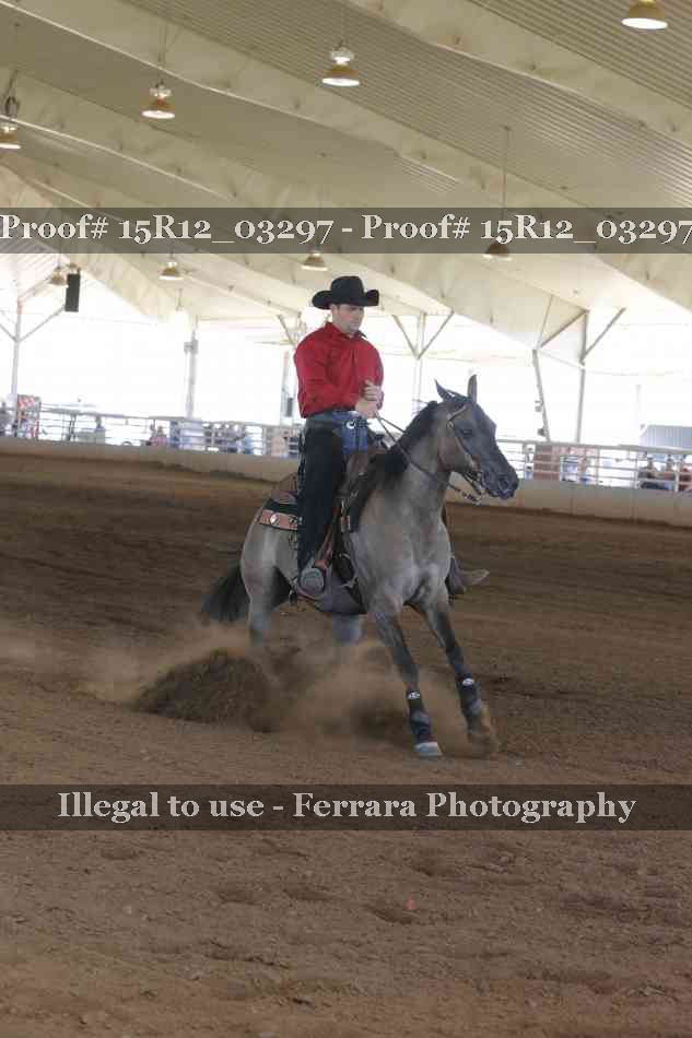 Proof 15R12_03297
