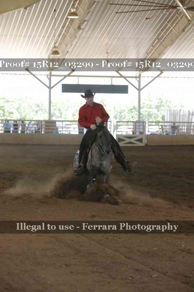 Proof 15R12_03299