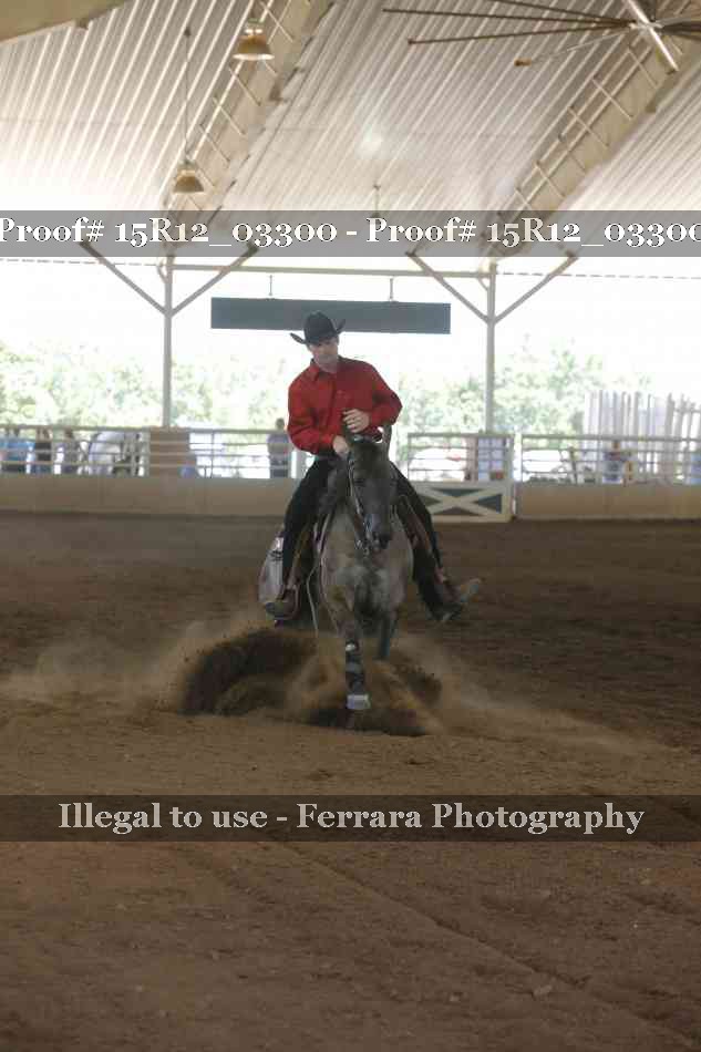 Proof 15R12_03300