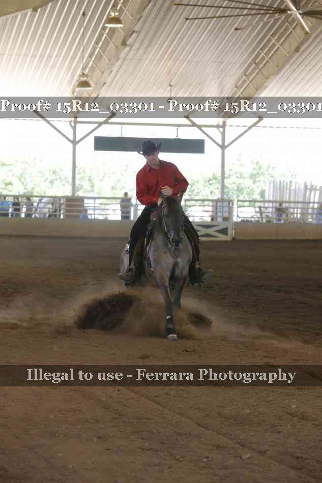 Proof 15R12_03301