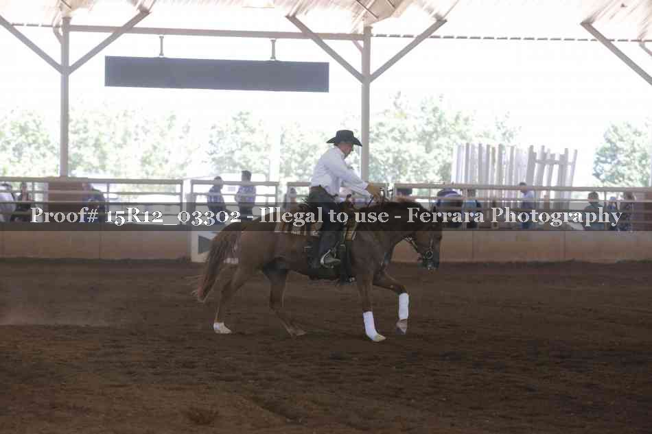 Proof 15R12_03302