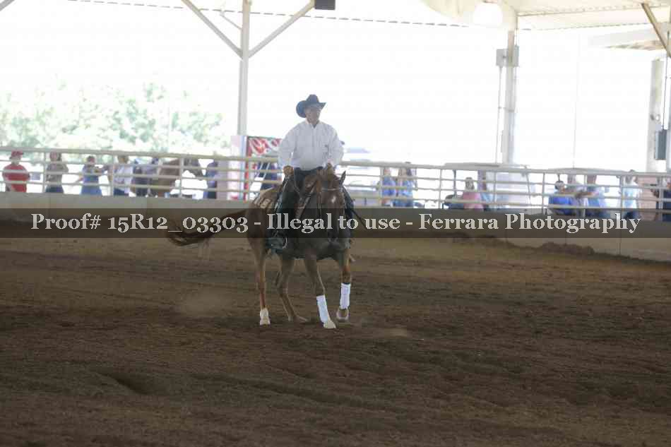 Proof 15R12_03303